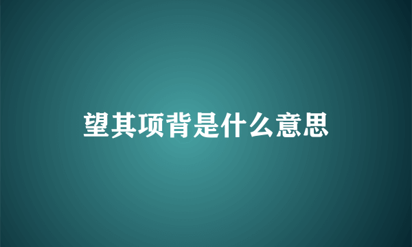望其项背是什么意思