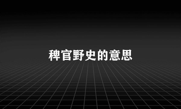 稗官野史的意思