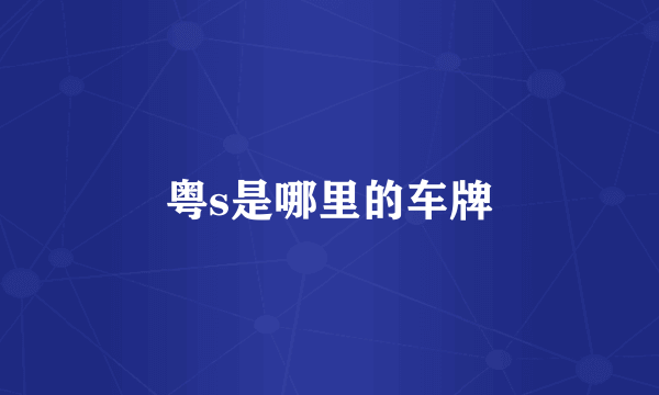 粤s是哪里的车牌