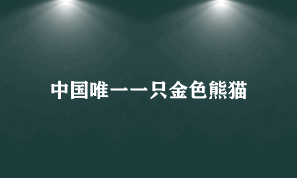 中国唯一一只金色熊猫
