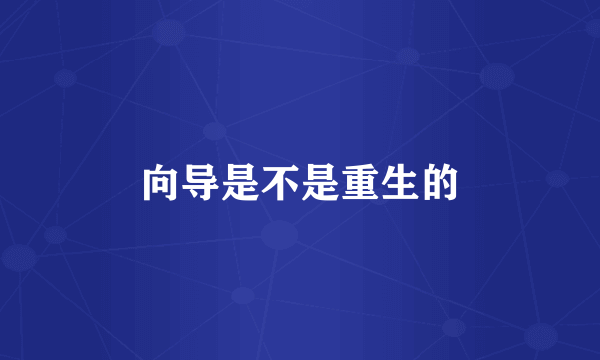 向导是不是重生的