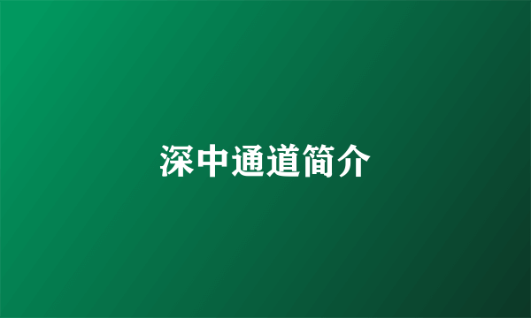 深中通道简介
