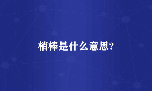 梢棒是什么意思?