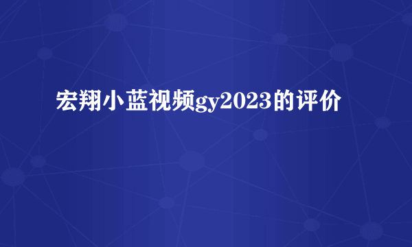宏翔小蓝视频gy2023的评价