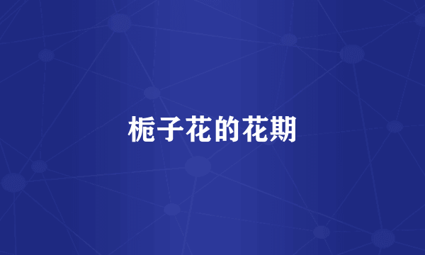 栀子花的花期