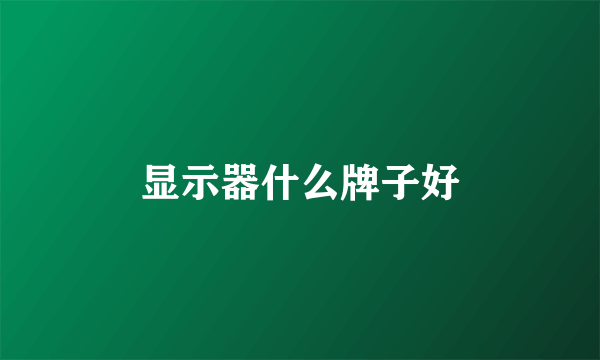 显示器什么牌子好