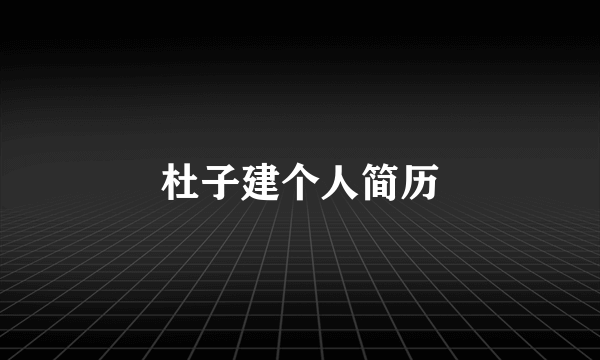 杜子建个人简历