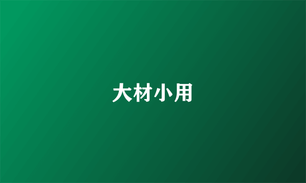 大材小用