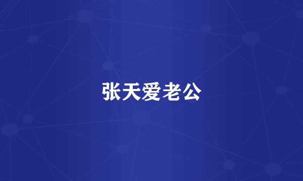 张天爱老公