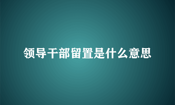 领导干部留置是什么意思