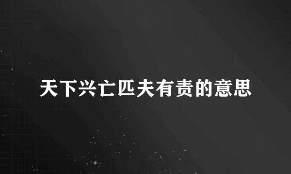 天下兴亡匹夫有责的意思