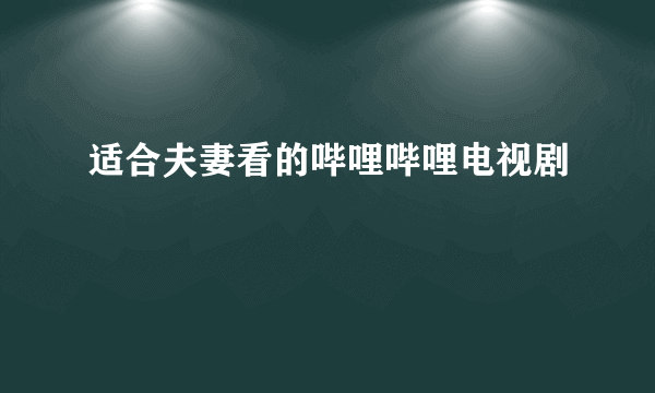 适合夫妻看的哔哩哔哩电视剧