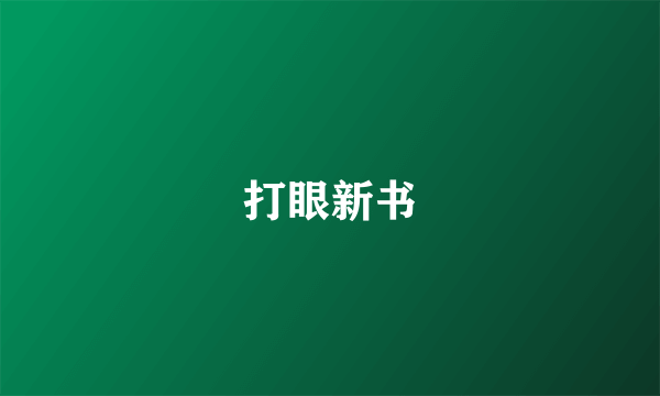打眼新书