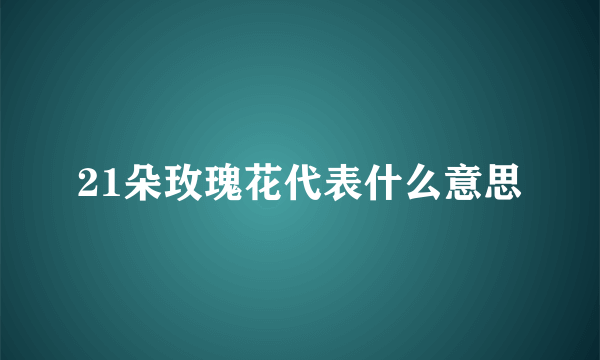 21朵玫瑰花代表什么意思