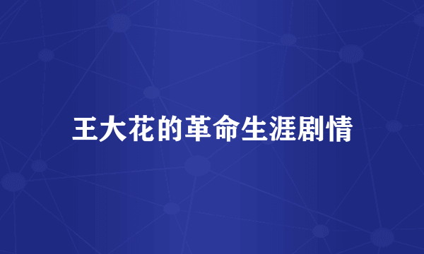 王大花的革命生涯剧情