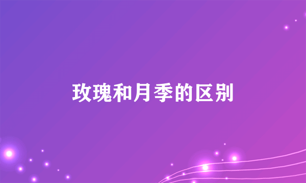 玫瑰和月季的区别