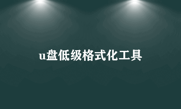 u盘低级格式化工具