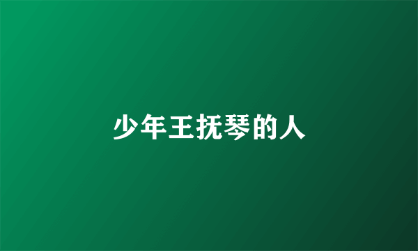 少年王抚琴的人