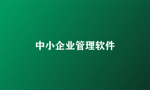 中小企业管理软件