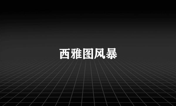 西雅图风暴