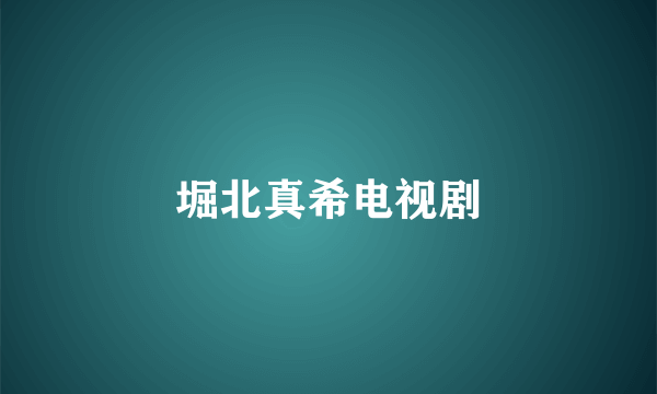 堀北真希电视剧