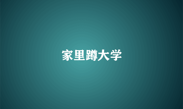 家里蹲大学
