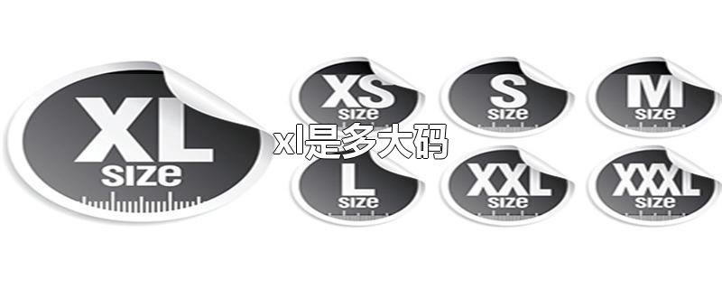 xl是多大码