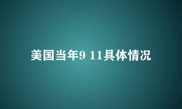 美国当年9 11具体情况
