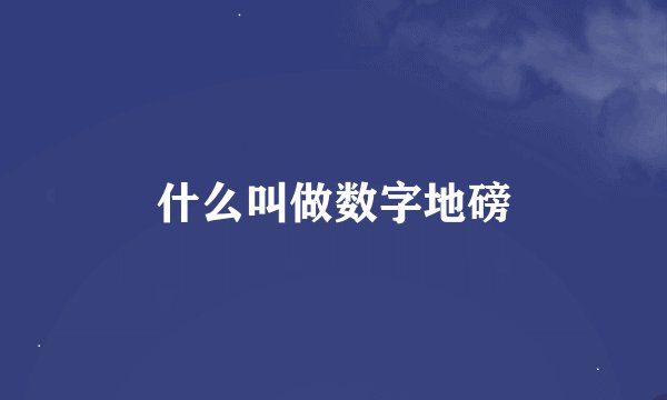 什么叫做数字地磅