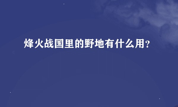 烽火战国里的野地有什么用？