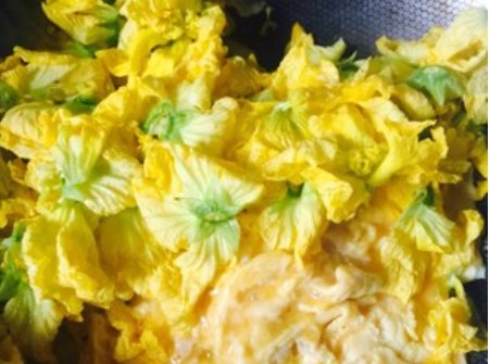 丝瓜花怎么吃 丝瓜花的功效与作用