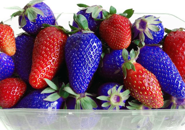 蓝色草莓能吃吗？