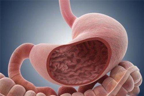 抖音大胃王浪胃仙，为什么他的胃和常人真的不一样吗？