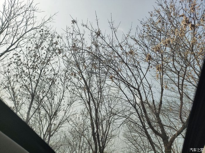 逸动随我走回童年时光，回忆童年往事