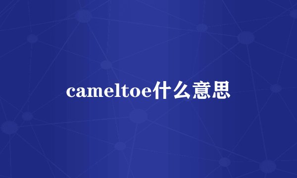 cameltoe什么意思