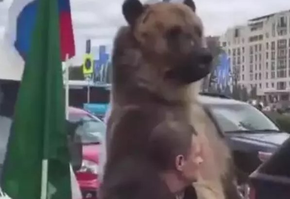 有哪些著名的优秀新闻标题?