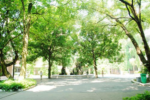 白月光和朱砂痣分别指代什么?