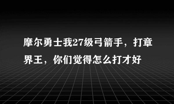 摩尔勇士我27级弓箭手，打章界王，你们觉得怎么打才好