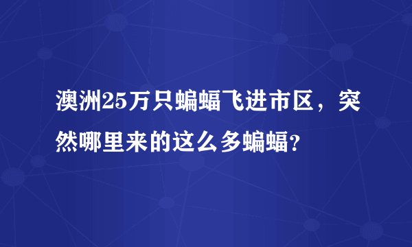 澳洲25万只蝙蝠飞进市区，突然哪里来的这么多蝙蝠？