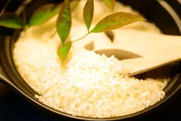 中国最贵大米排行榜是怎么样的？