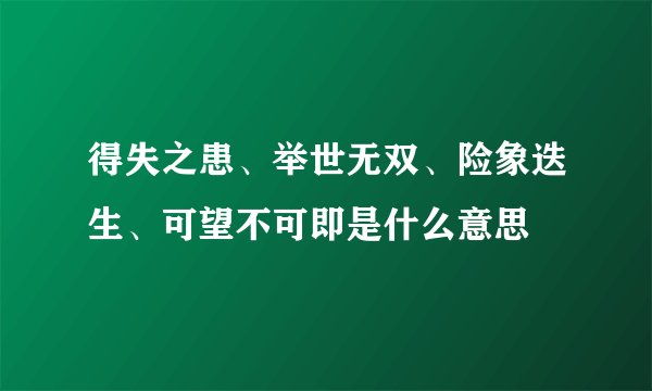得失之患、举世无双、险象迭生、可望不可即是什么意思
