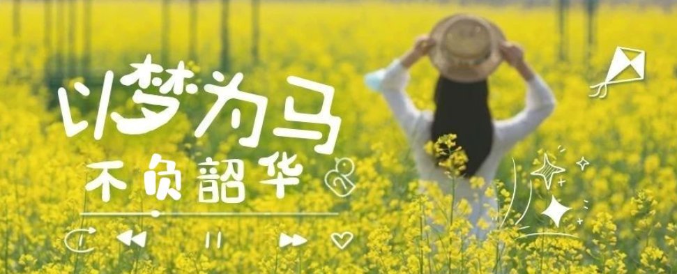 不负韶华上一句是什么?