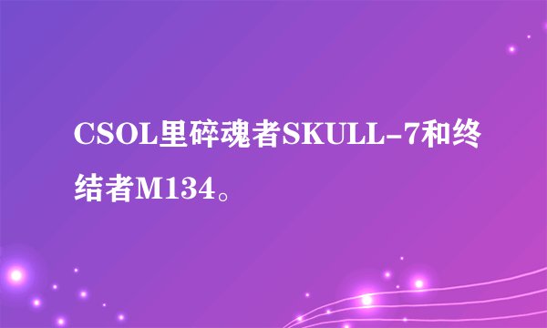 CSOL里碎魂者SKULL-7和终结者M134。
