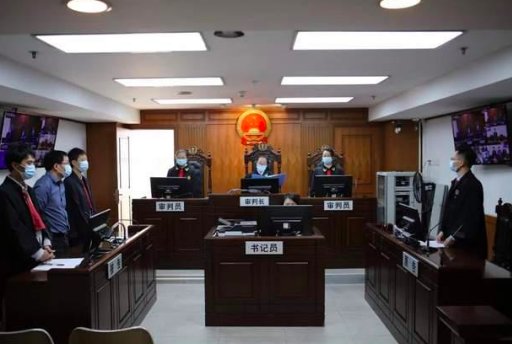 女子被天降大狗砸瘫获赔超百万，被告有何回应？