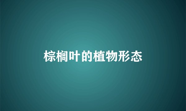 棕榈叶的植物形态