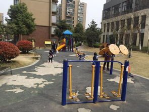 广东26岁女子殴打男孩被拘留，此女子为何这么做？