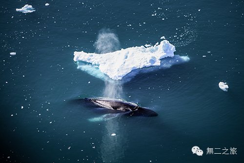 去格陵兰旅游要多少钱