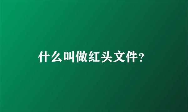 什么叫做红头文件？