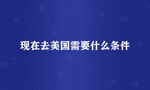 现在去美国需要什么条件