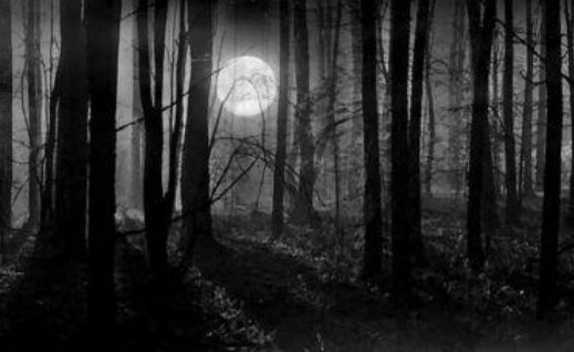 黑暗森林法则是什么?